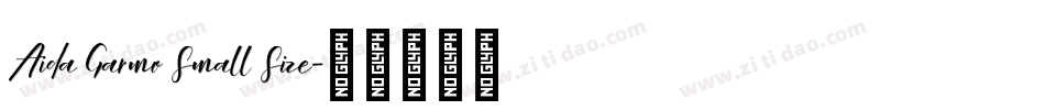 Aida Garmo Small Size字体转换